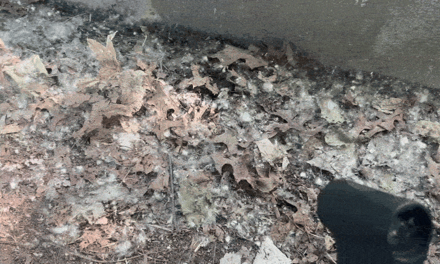 22f8a00b812f49ebadef131549b4992c_1784294804_8846.gif 22f8a00b812f49ebadef131549b4992c_1784294804_8846.gif